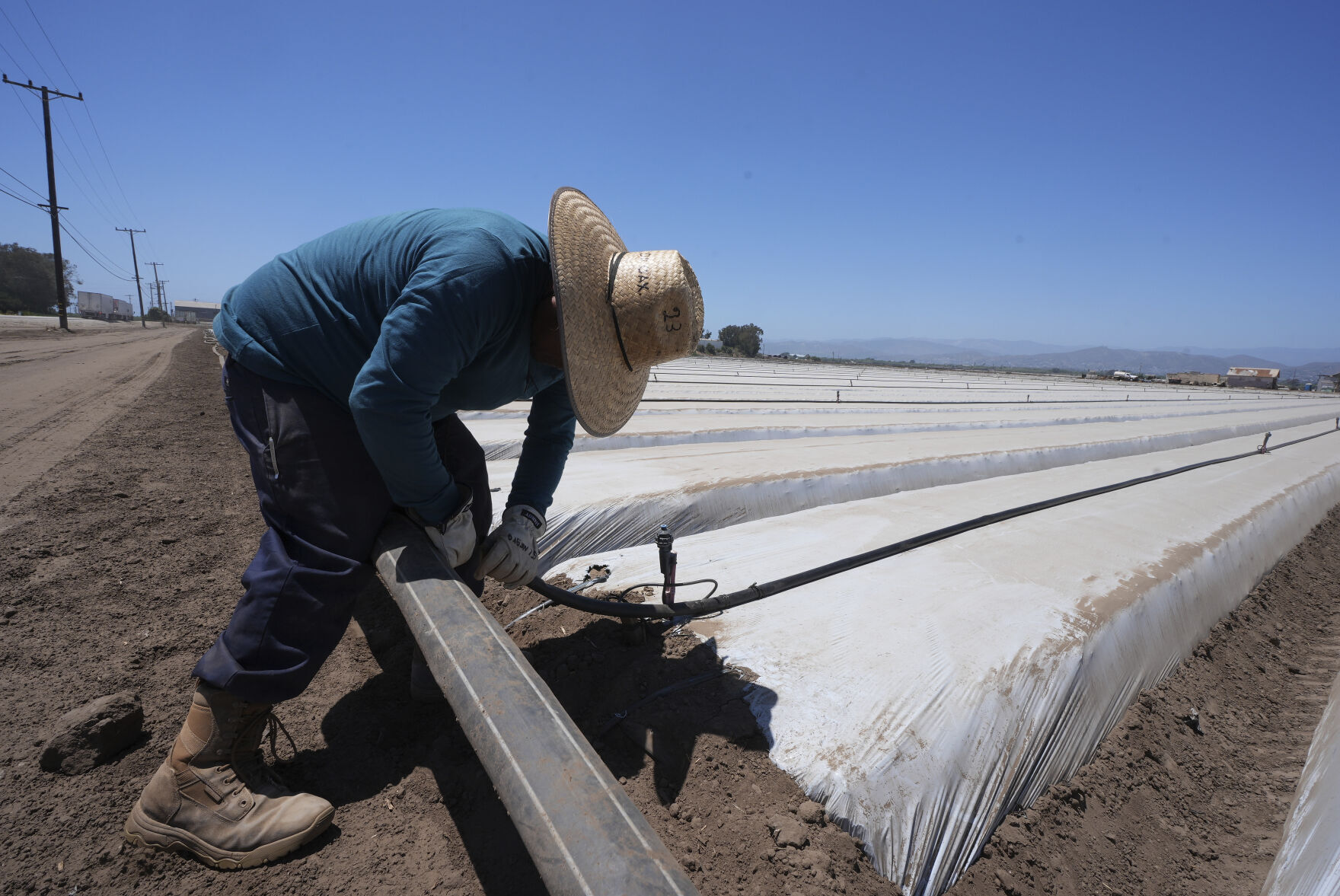 Immigration California Farms